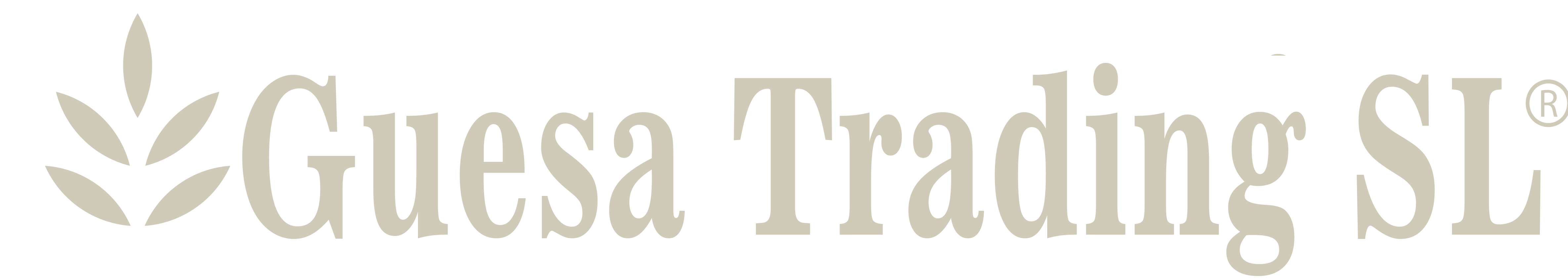 Descripción de la imagen